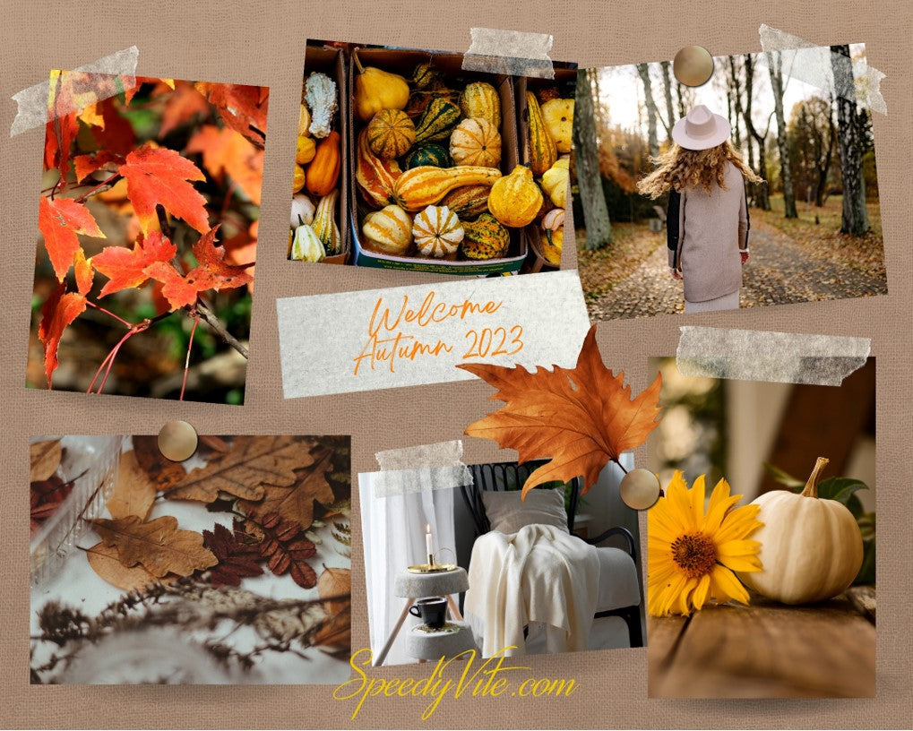 Feeling that Fall / Autumn breeze yet?