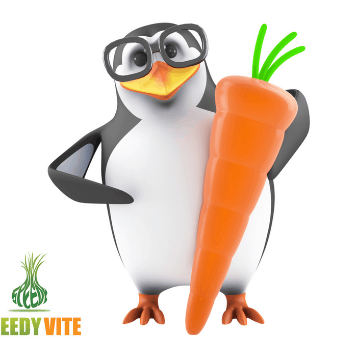 Wishing you a Healthy New Year from SpeedyVite