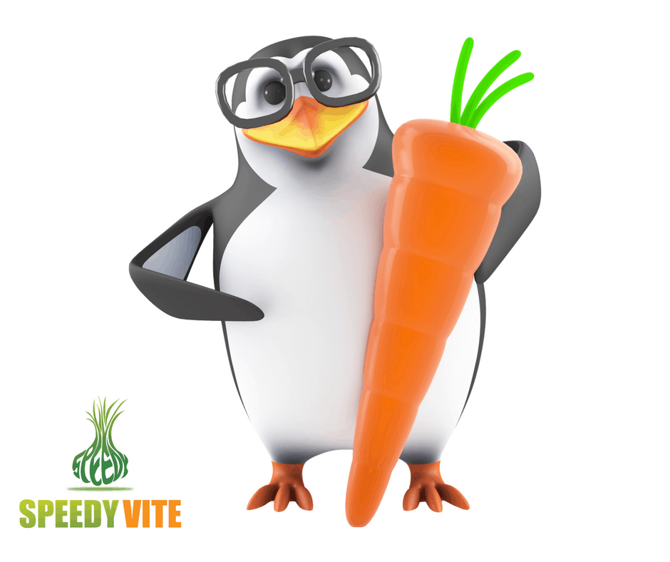 Wishing you a Healthy New Year from SpeedyVite