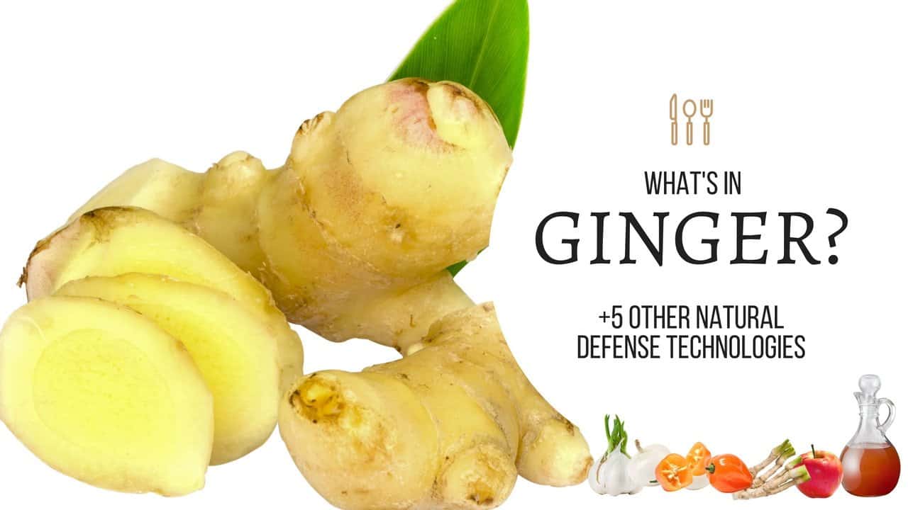 What Is In Ginger? 6 Natural Defense Technologies Your Body Will Thank You For