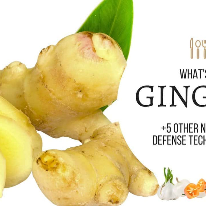 What Is In Ginger? 6 Natural Defense Technologies Your Body Will Thank You For