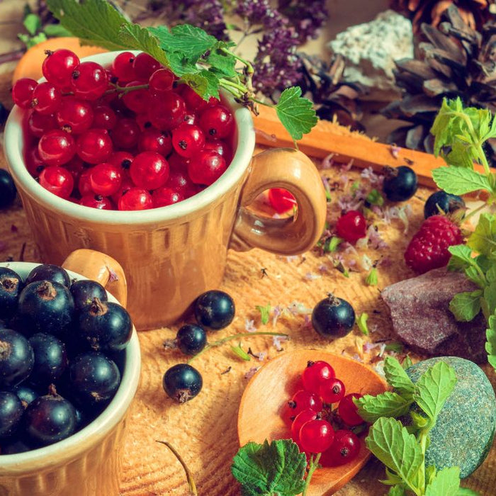 Fresh berries and herbs in wooden bowls representing antioxidant rich botanicals for blood health and natural wellness