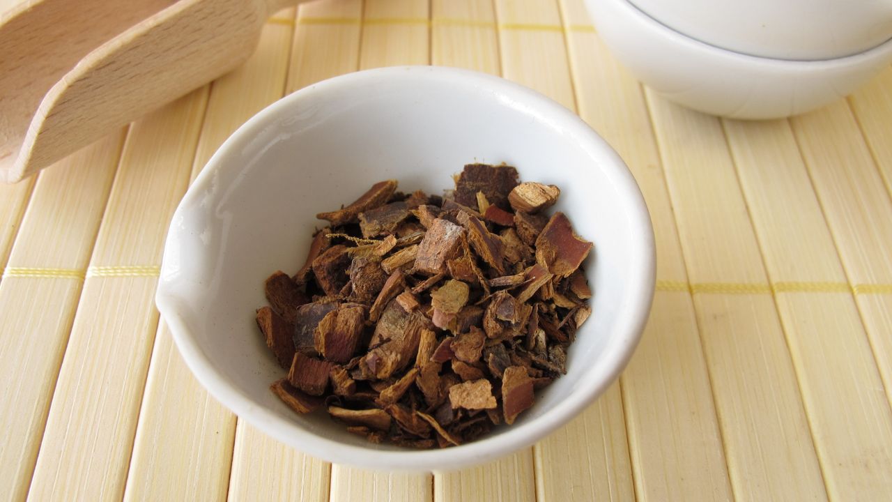 Cascara sagrada bark in white bowl - natural herbal colon support ingredient used by SpeedyVite