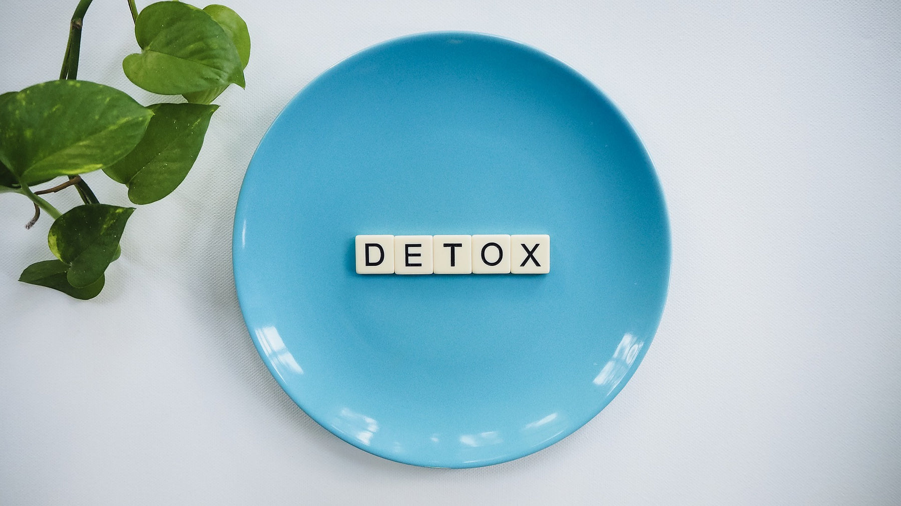 Detox Tea for Weight Loss: the Sad Reality
