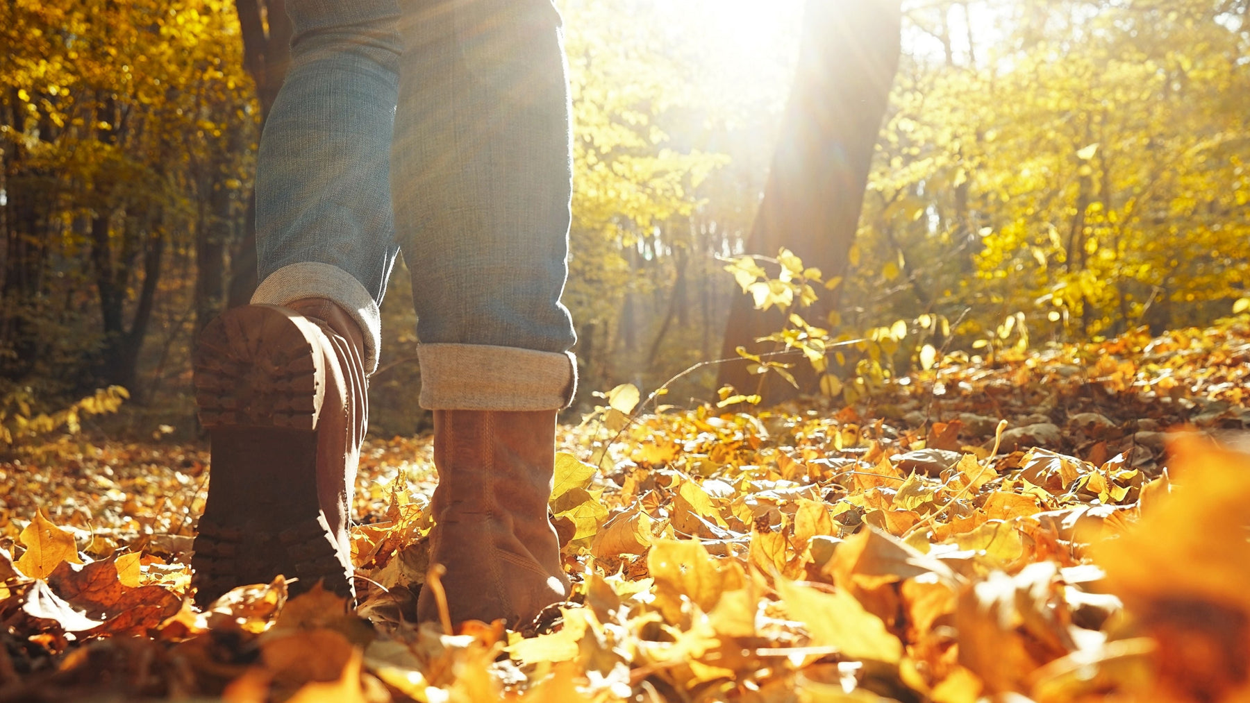 Walking boots on a path of golden autumn leaves in warm sunlight
