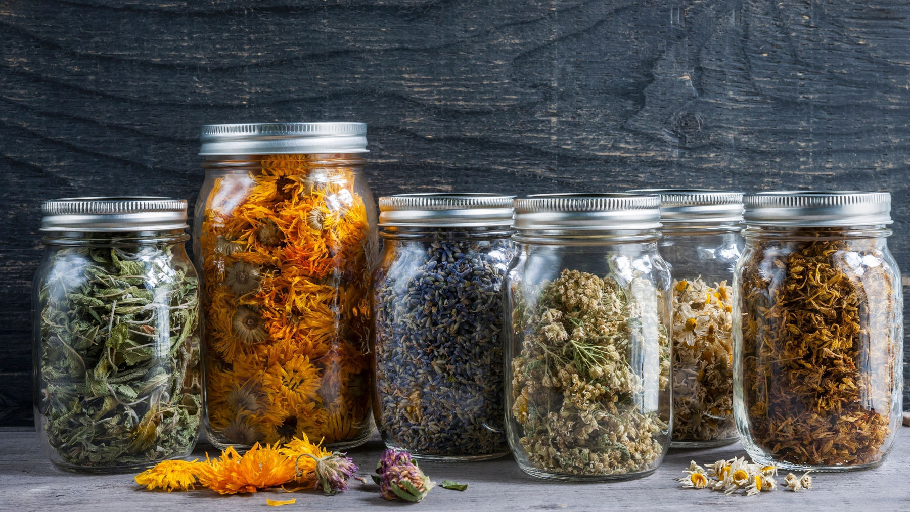 Glass mason jars filled with colorful dried herbs including calendula lavender and chamomile showing proper herb storage