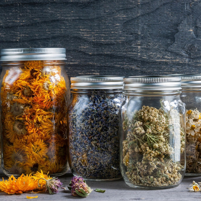 Glass mason jars filled with colorful dried herbs including calendula lavender and chamomile showing proper herb storage