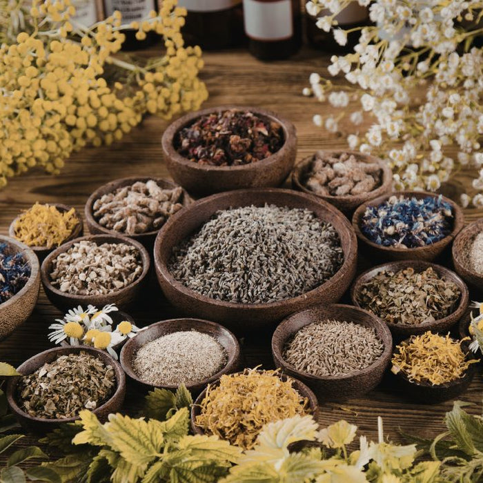 Dried kidney cleanse herbs including goldenrod, uva ursi, and marshmallow root for natural urinary support