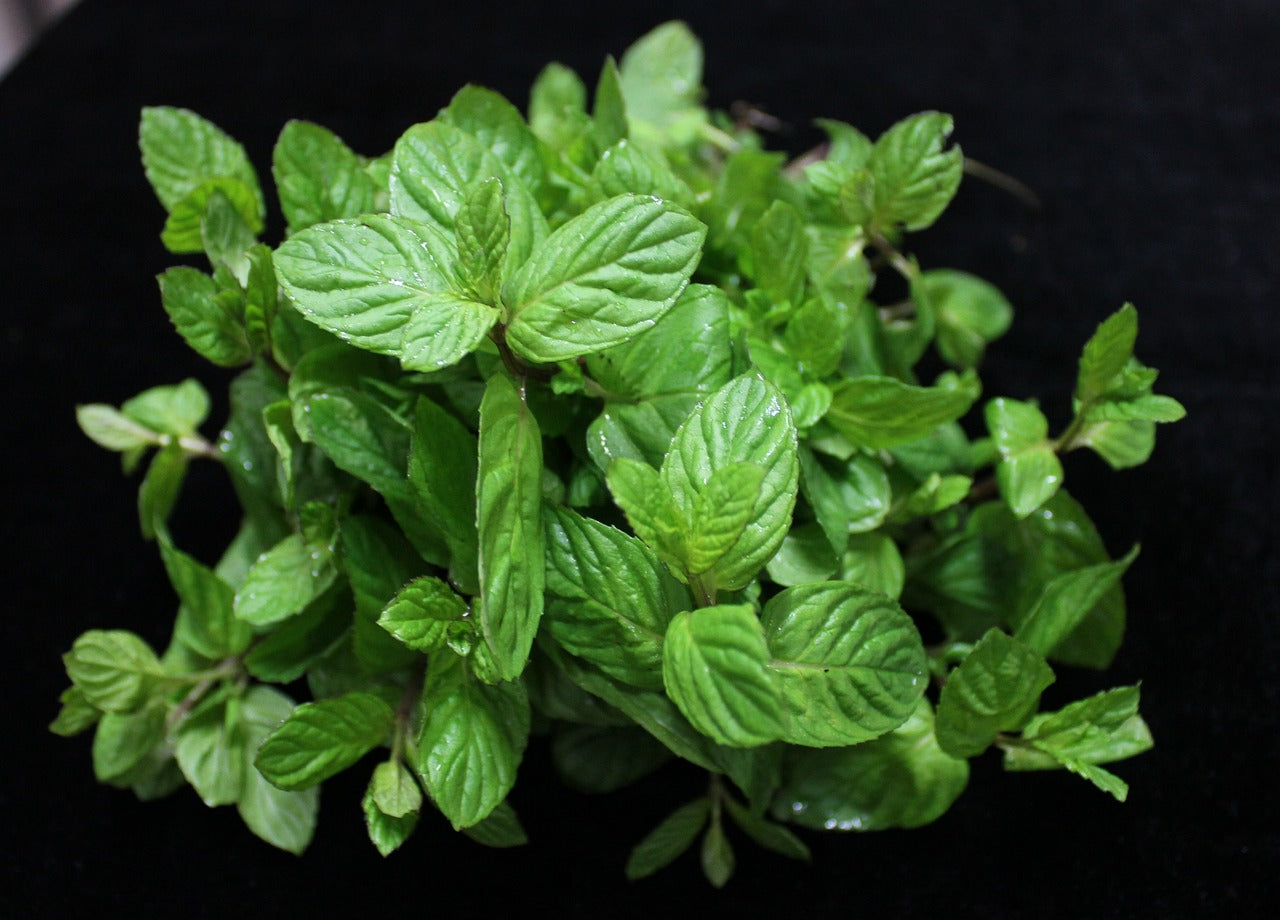 How Menthol Cream Can Enhance Your Post-Workout Recovery