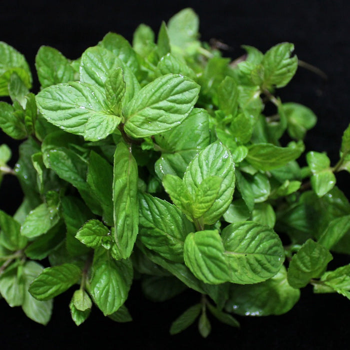 How Menthol Cream Can Enhance Your Post-Workout Recovery