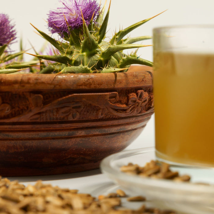 Milk thistle plant in clay bowl alongside herbal liver cleanse tea on wooden surface