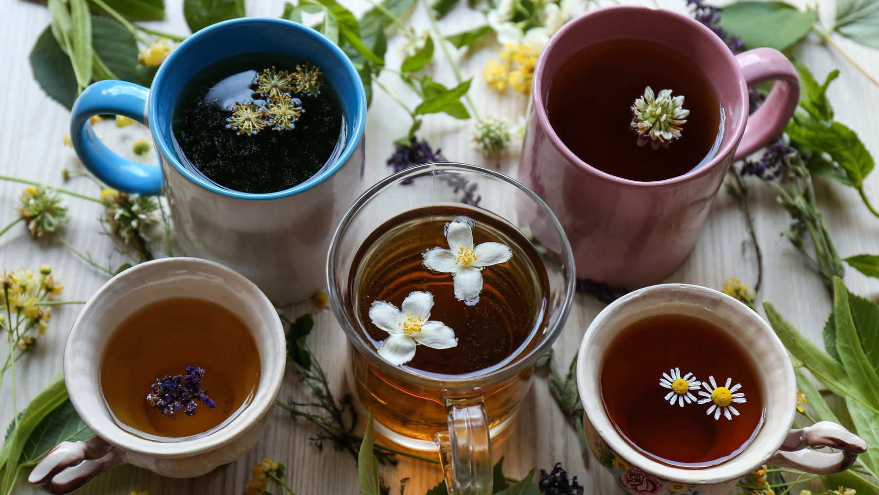 Five cups of different herbal teas with fresh flowers and herbs showing variety of vitamins and nutrients in herbal tea