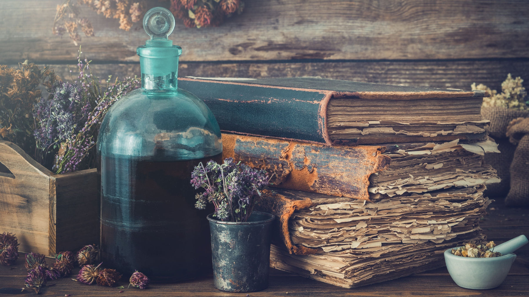 Antique apothecary bottle with herbal tincture alongside old leather books dried herbs and mortar and pestle representing centuries of Swedish Bitters tradition