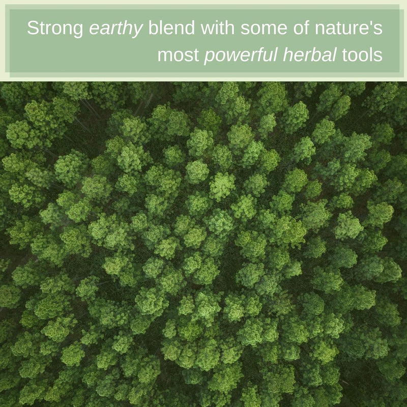 Blood LifeBoost® Tea | USDA Organic Herbal Cleansing Tea (4 oz / 8 oz / 28 Bags) | SpeedyVite® - FREE SHIPPING