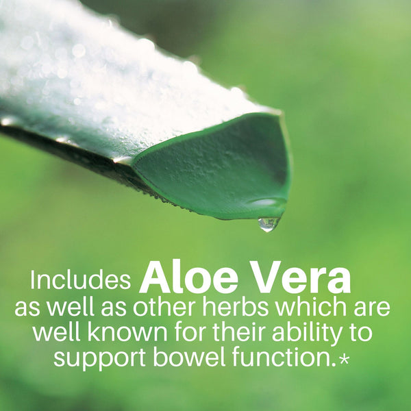 Aloe vera leaf - one of the soothing support herbs in SpeedyVite Turkey Rhubarb Colon Cleaner formula