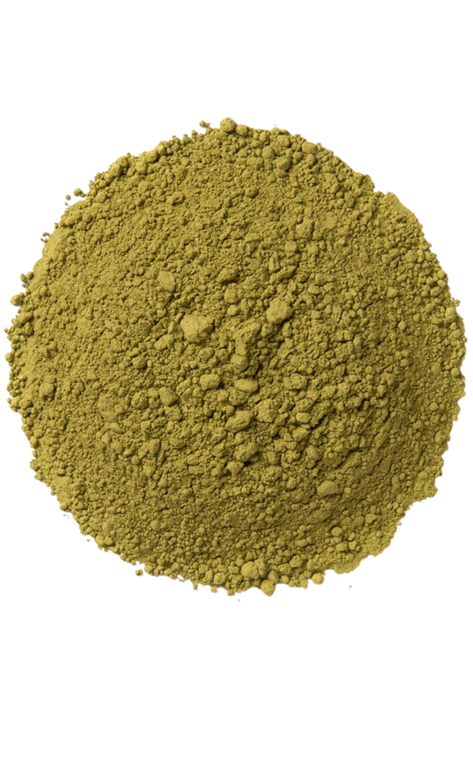 Fine green matcha powder made from Camellia sinensis leaf