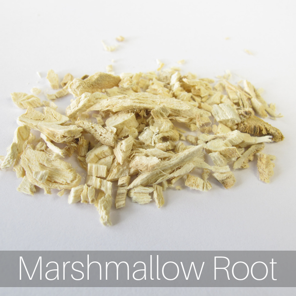 Marshmallow root (Althaea officinalis)