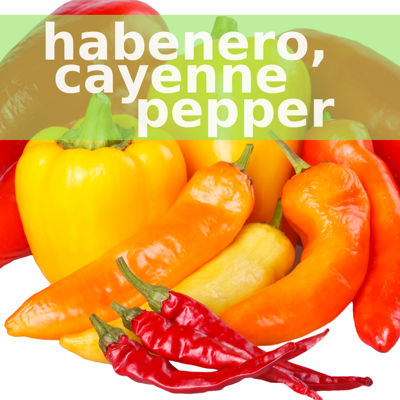 Super Tonic (2 fl oz) | Herbal Liquid to Support Immune Function* | SpeedyVite® - FREE SHIPPING