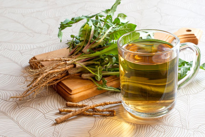 Dandelion leaves and roots (Taraxacum officinale) prepared for herbal tea