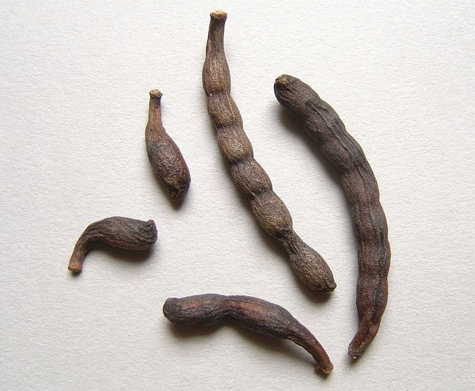 Ethiopian pepper: Traditional Uses & Constituents — SpeedyVite®