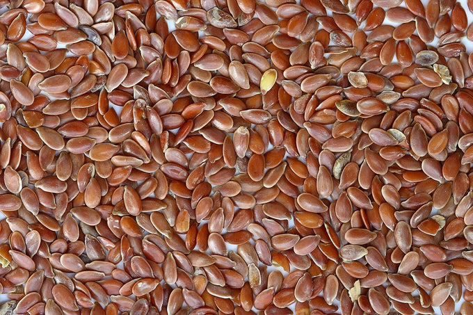 Brown flax seeds (Linum usitatissimum)