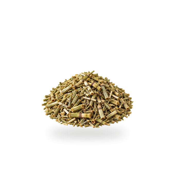 Cut and sifted horsetail herb (Equisetum arvense)