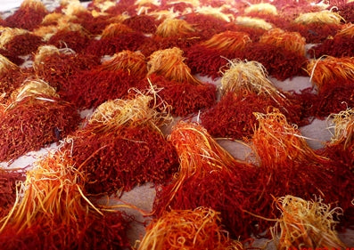 Dried saffron stigmas from Crocus sativus