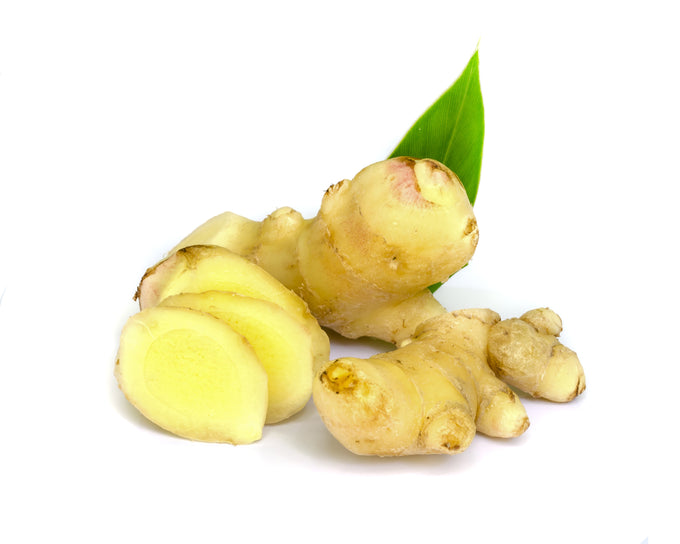 Fresh ginger rhizomes (Zingiber officinale)