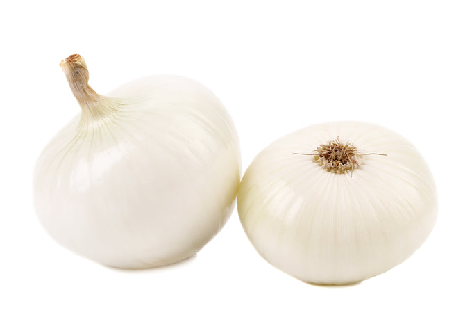 White onion bulbs (Allium cepa)