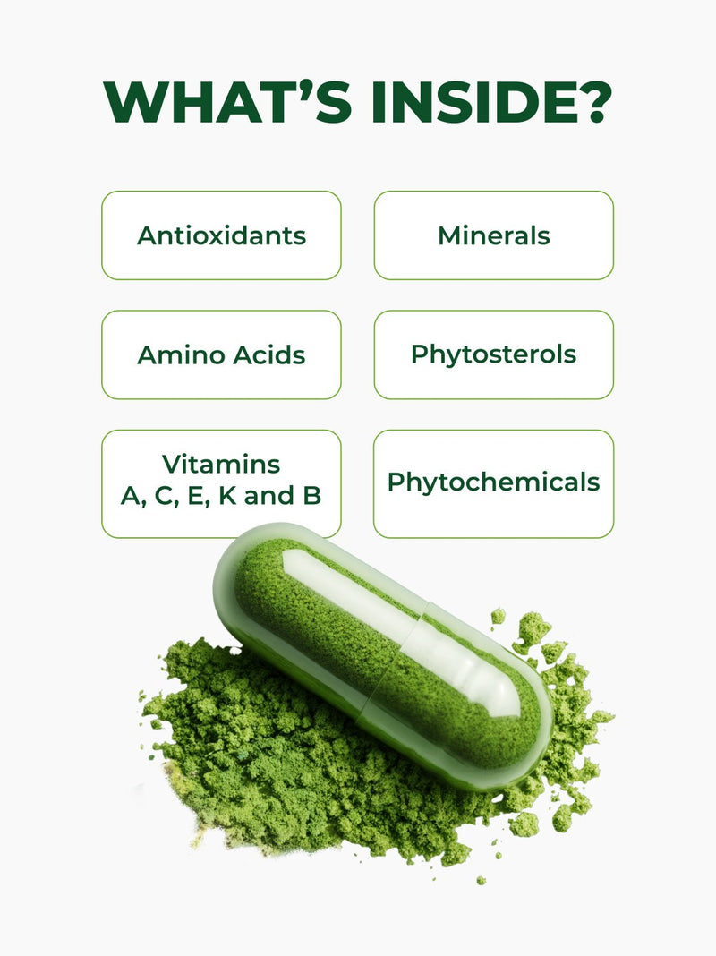 Moringa Capsules 120 Count | USDA Organic 500 mg | Pura Vida Moringa