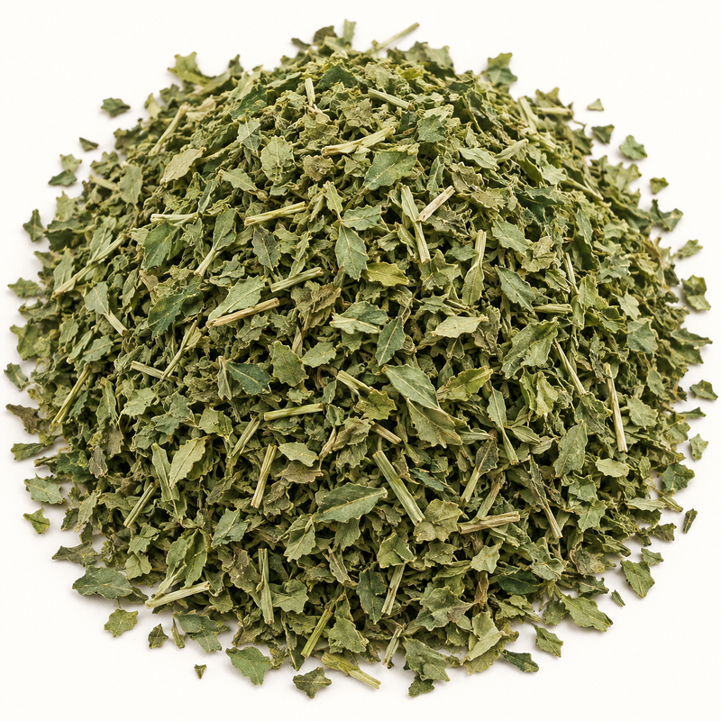 Alfalfa leaf (Medicago sativa), representative ingredient illustration; not current lot photography