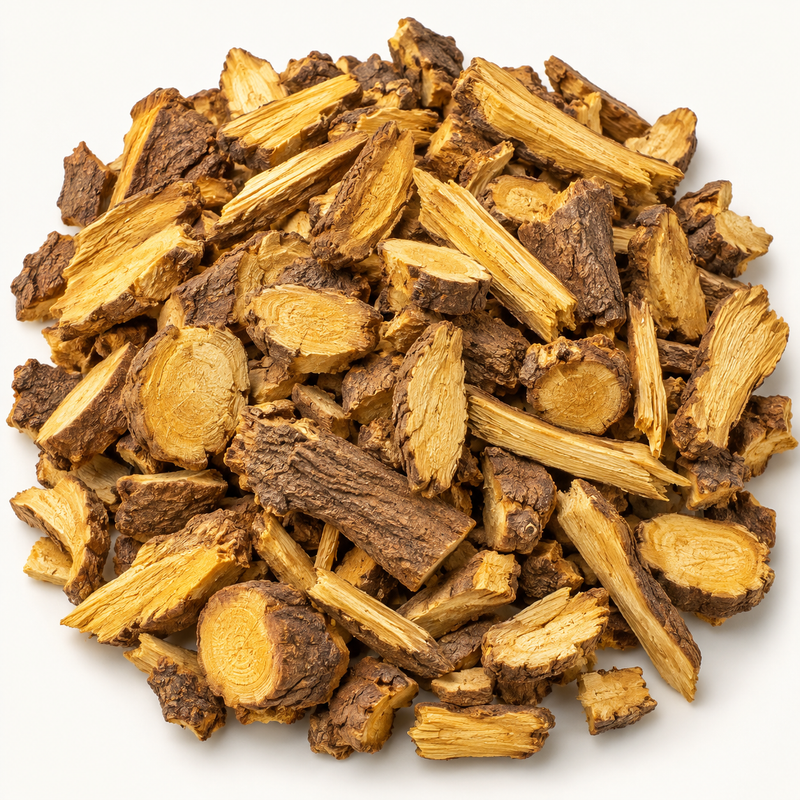 Barberry root, representative ingredient illustration; not current lot photography