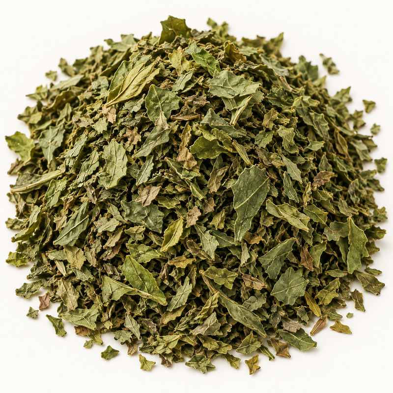 Basil leaf (Ocimum basilicum), representative ingredient illustration; not current lot photography
