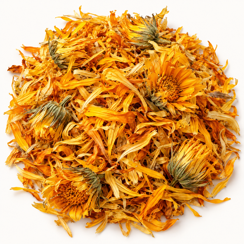 Calendula flower, representative ingredient illustration; not current lot photography