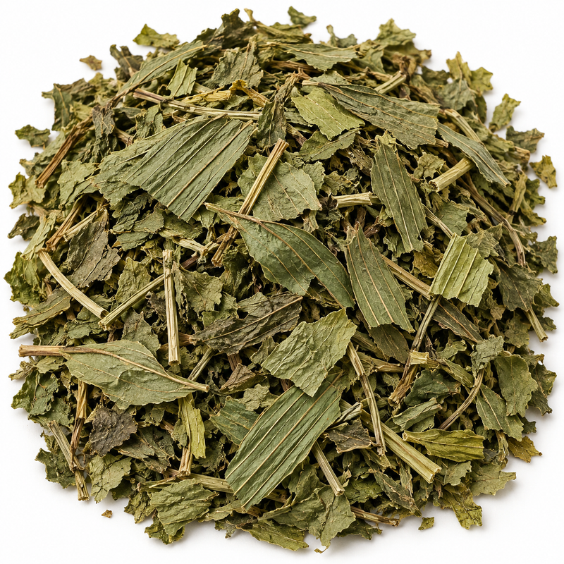 Plantain herb, representative ingredient illustration; not current lot photography