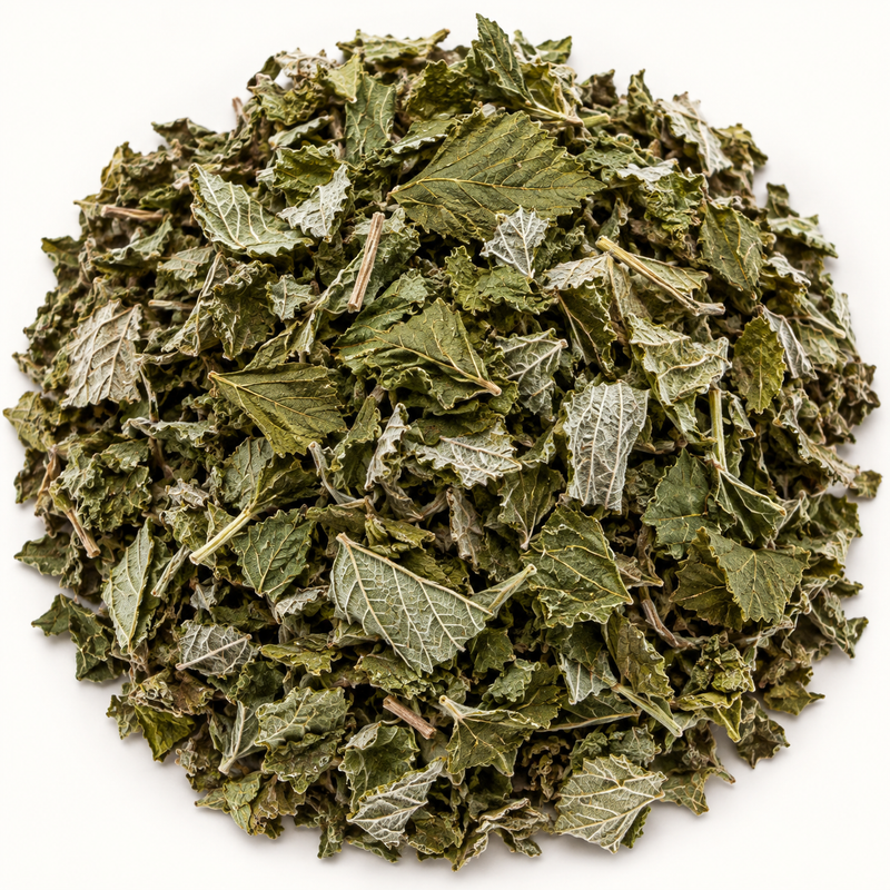 Raspberry leaf (Rubus idaeus), representative ingredient illustration; not current lot photography