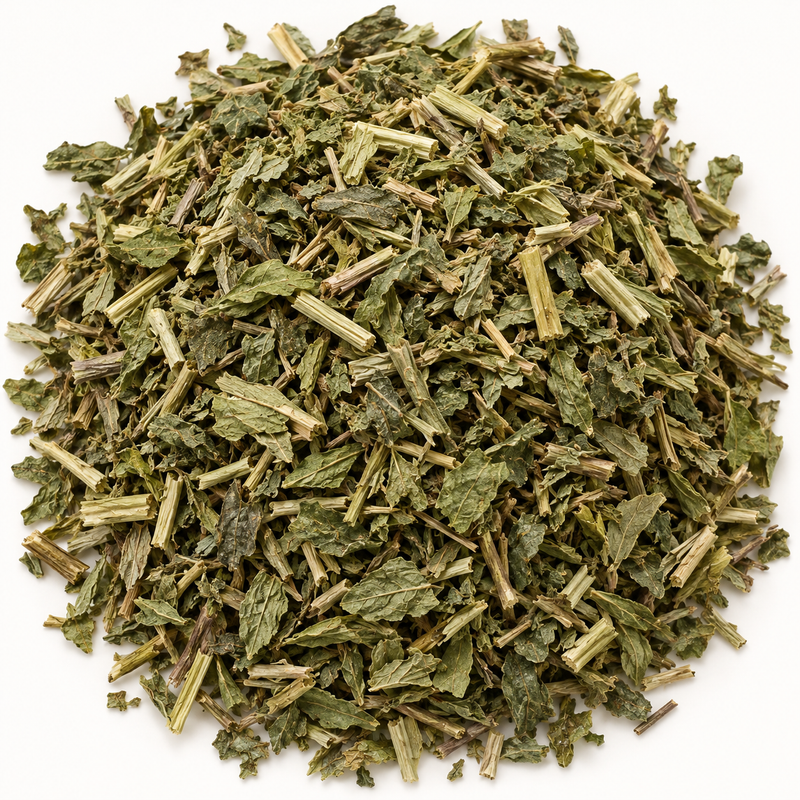 Skullcap herb, representative ingredient illustration; not current lot photography