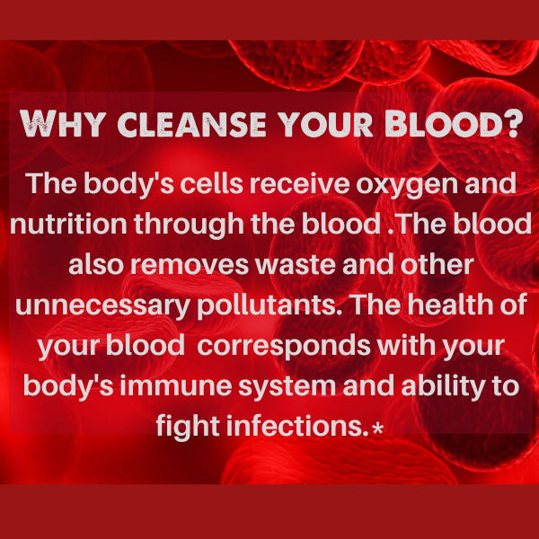 Natural Blood Cleanser – 120 Veg Capsules | Herbal Detox Support | SpeedyVite® - FREE EXPEDITED