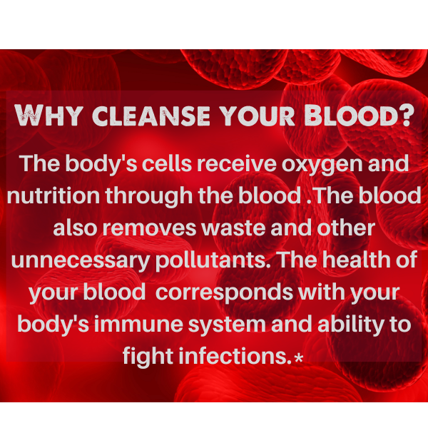 Blood LifeBoost® Tea | USDA Organic Herbal Cleansing Tea (4 oz / 8 oz / 28 Bags) | SpeedyVite® - FREE SHIPPING