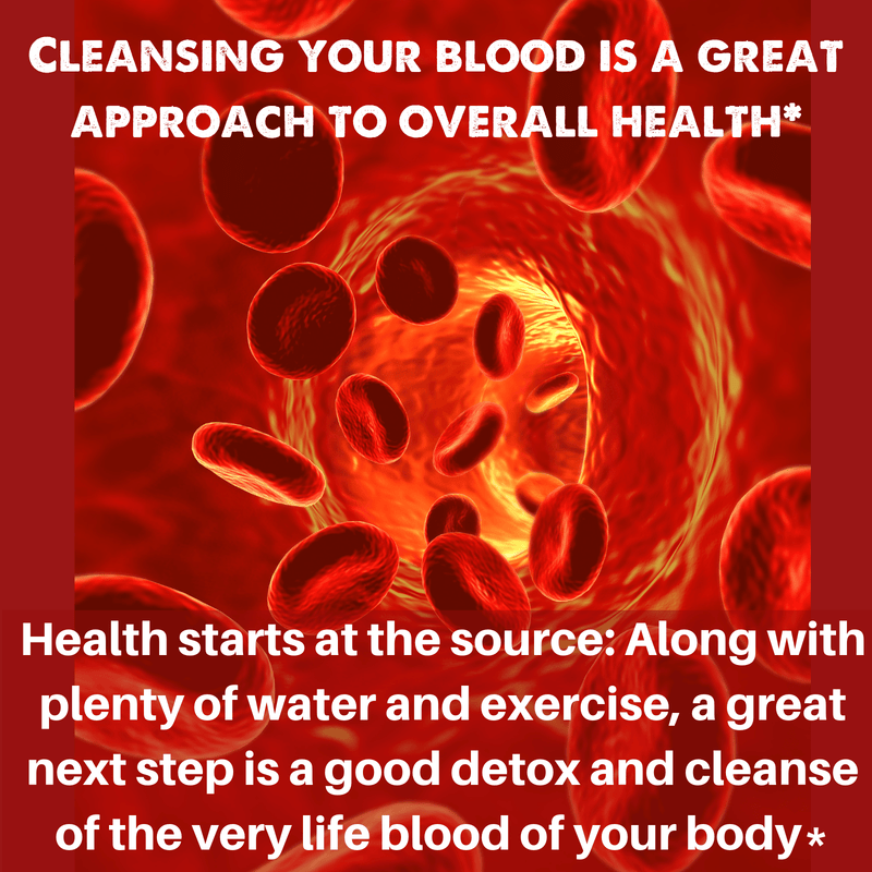 Natural Blood Cleanser – 120 Veg Capsules | Herbal Detox Support | SpeedyVite® - FREE EXPEDITED