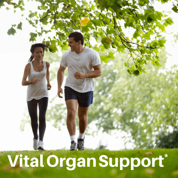 “Classic Liver & Gallbladder Cleanse Drops — 2 fl oz | SpeedyVite®