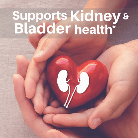 Supports kidney & bladder health with organic & wildcrafted herbs — SpeedyVite® Kidney Cleanse Drops