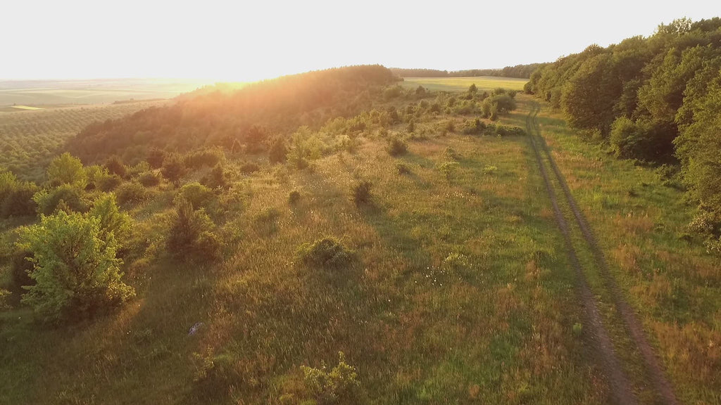 SpeedyVite Gift Card lifestyle image